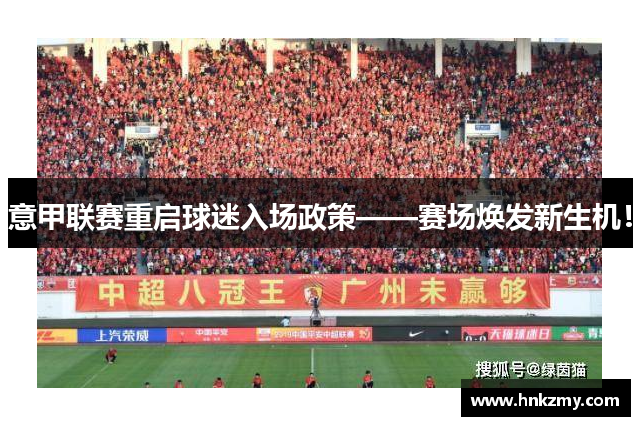 意甲联赛重启球迷入场政策——赛场焕发新生机！